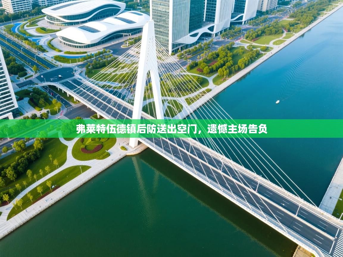 弗莱特伍德镇后防送出空门，遗憾主场告负  第1张