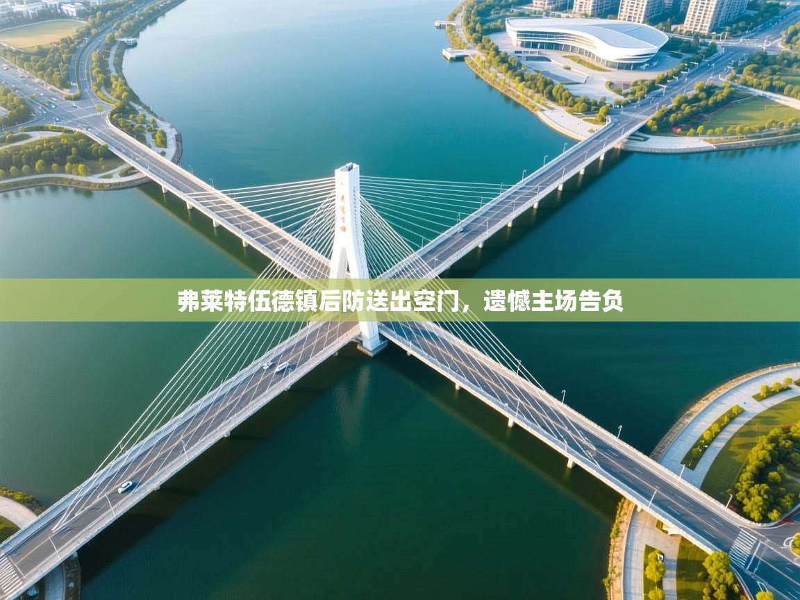 弗莱特伍德镇后防送出空门，遗憾主场告负  第2张