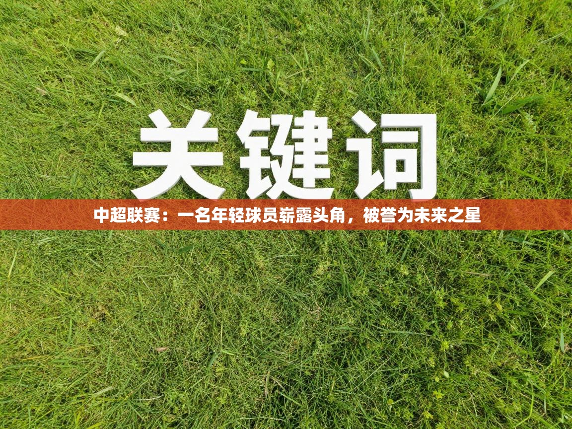 中超联赛：一名年轻球员崭露头角，被誉为未来之星  第1张