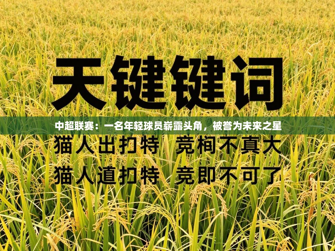 中超联赛：一名年轻球员崭露头角，被誉为未来之星  第2张