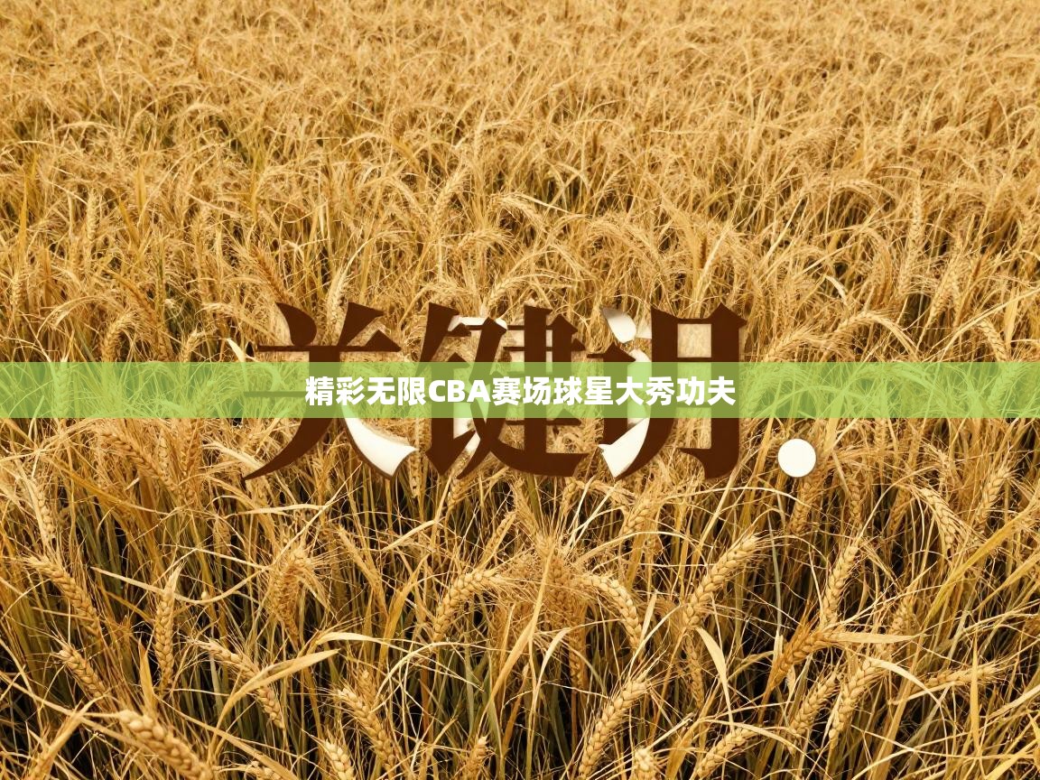 精彩无限CBA赛场球星大秀功夫  第1张